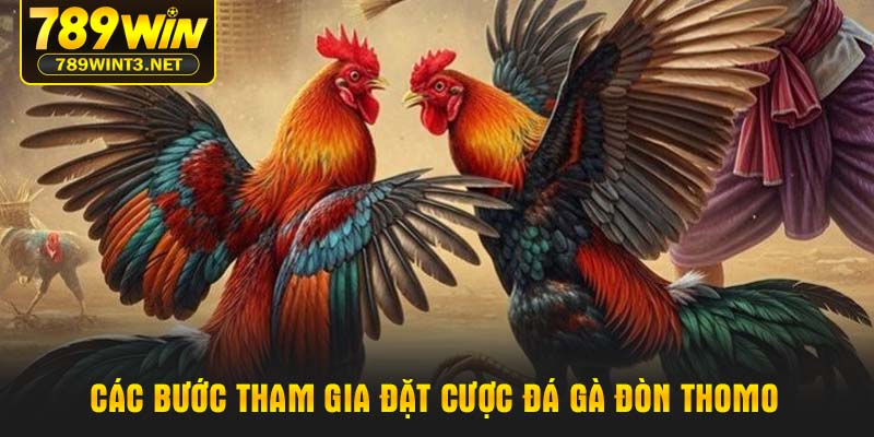 Các bước tham gia đặt cược đá gà đòn Thomo
