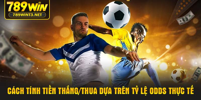 Cách tính tiền thắng/thua dựa trên tỷ lệ odds thực tế