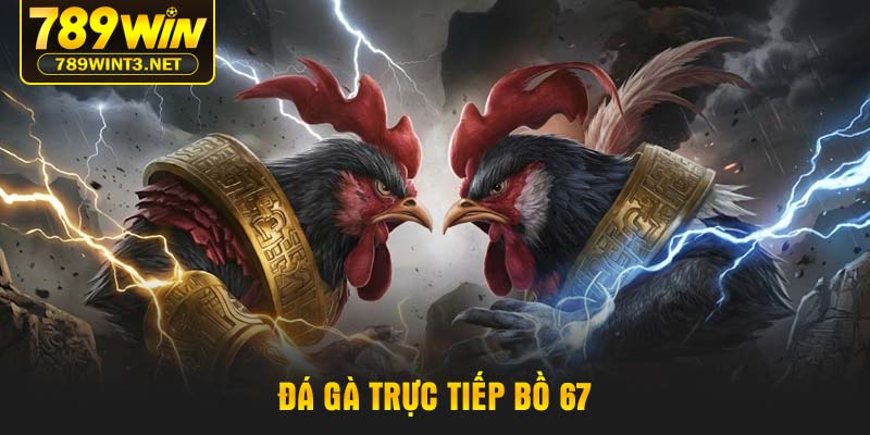 da-ga-truc-tiep-bo-67