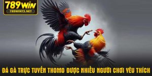da-ga-truc-tuyen-thomo-duoc-nhieu-nguoi-choi-yeu-thich