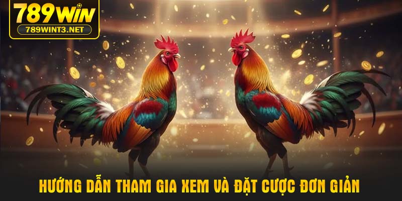 Hướng dẫn tham gia xem và đặt cược đơn giản