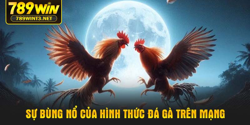 Sự bùng nổ của hình thức đá gà trên mạng